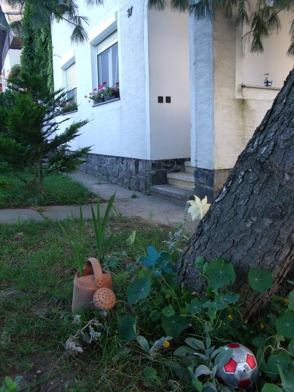 Ferienwohnung Viola Vendeghaz Kehidakustány Exterior foto